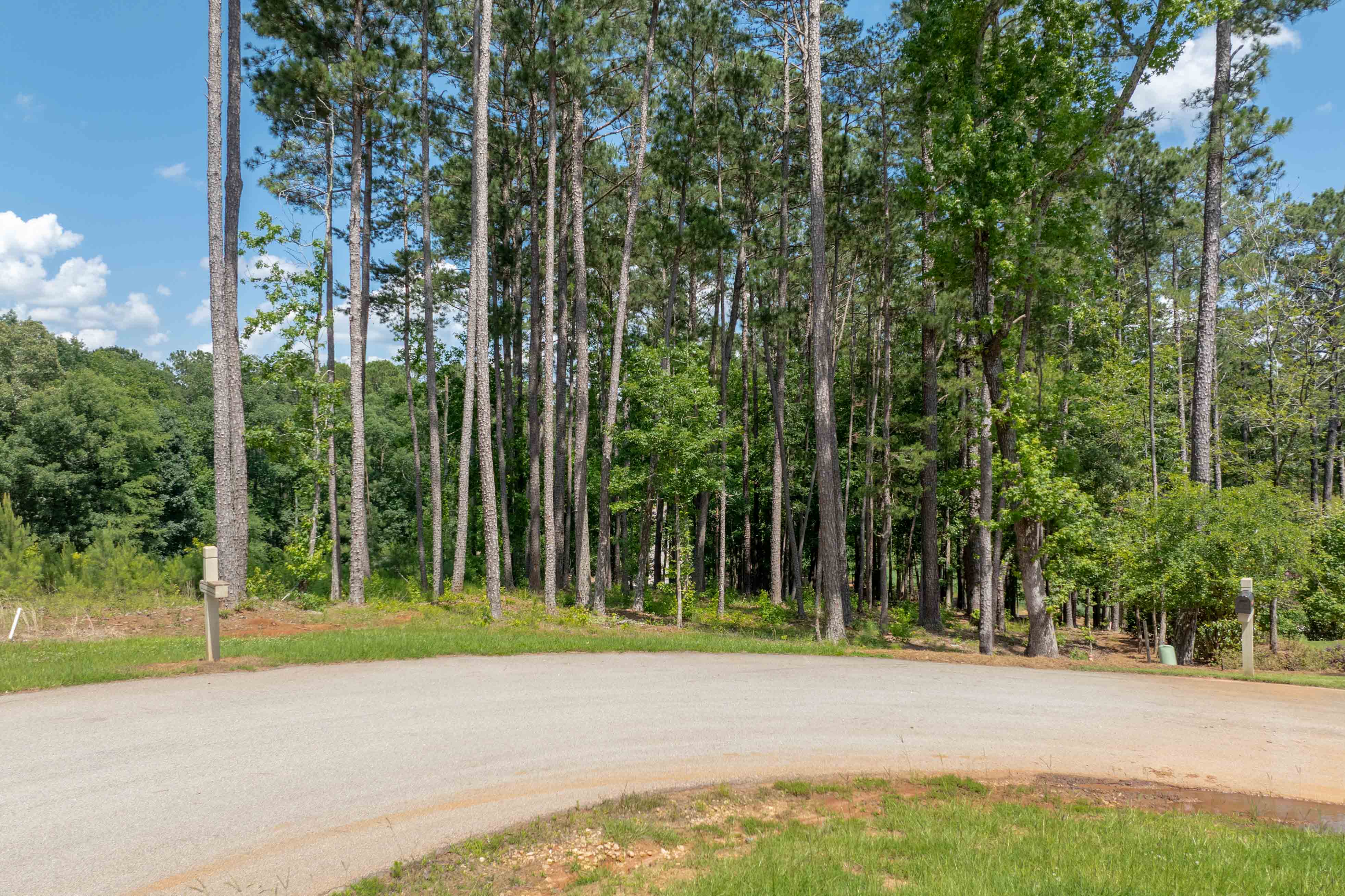1000 Creek Bluff image 1